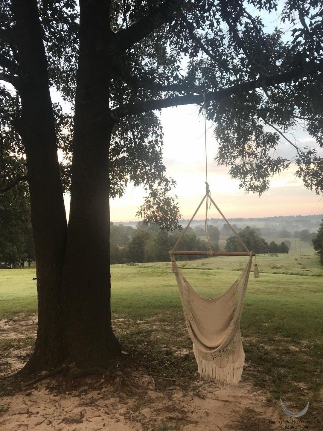 hammock chair hanging under a big tree during the morning (warm light balance)