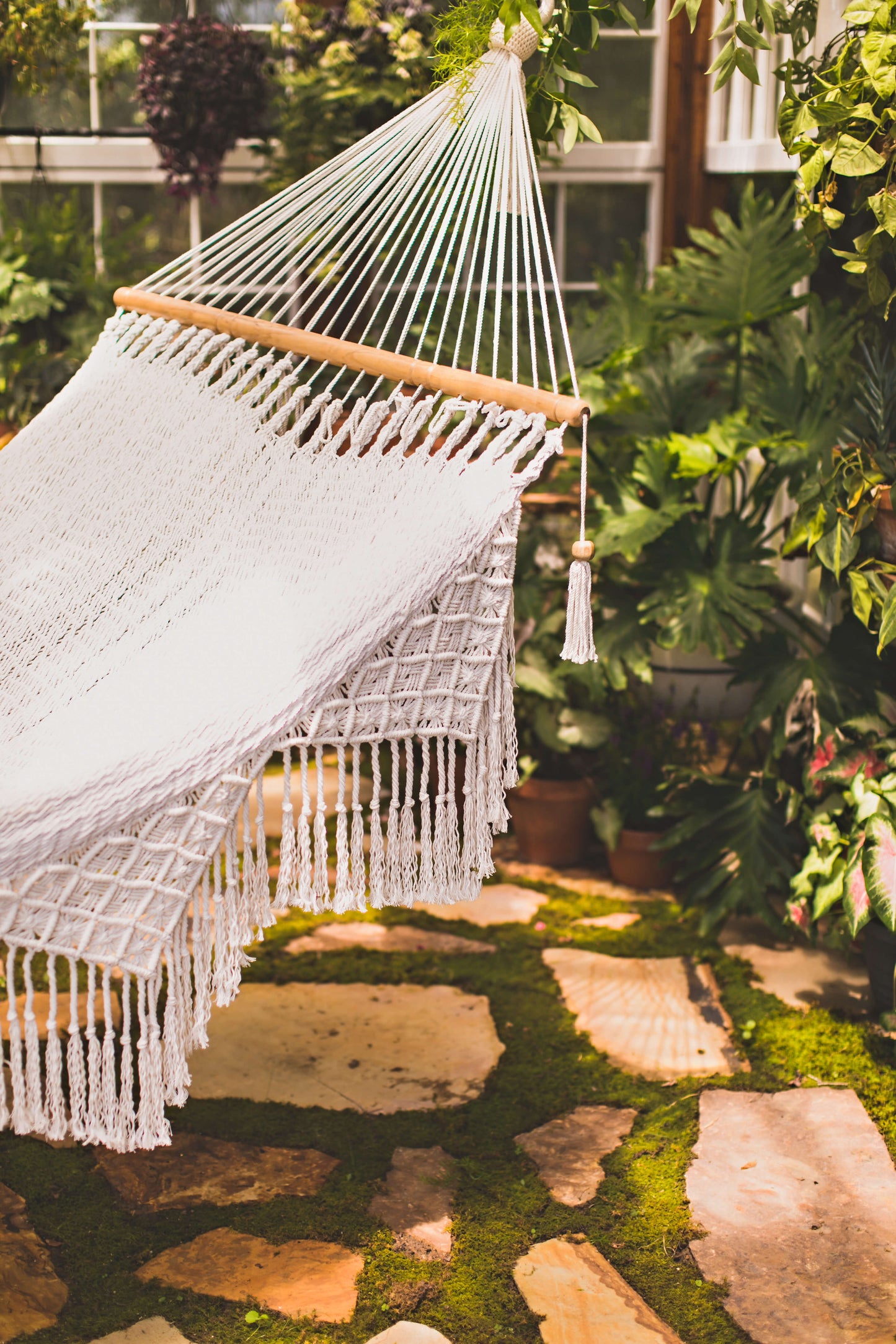 nicaraguan hammock and green plants