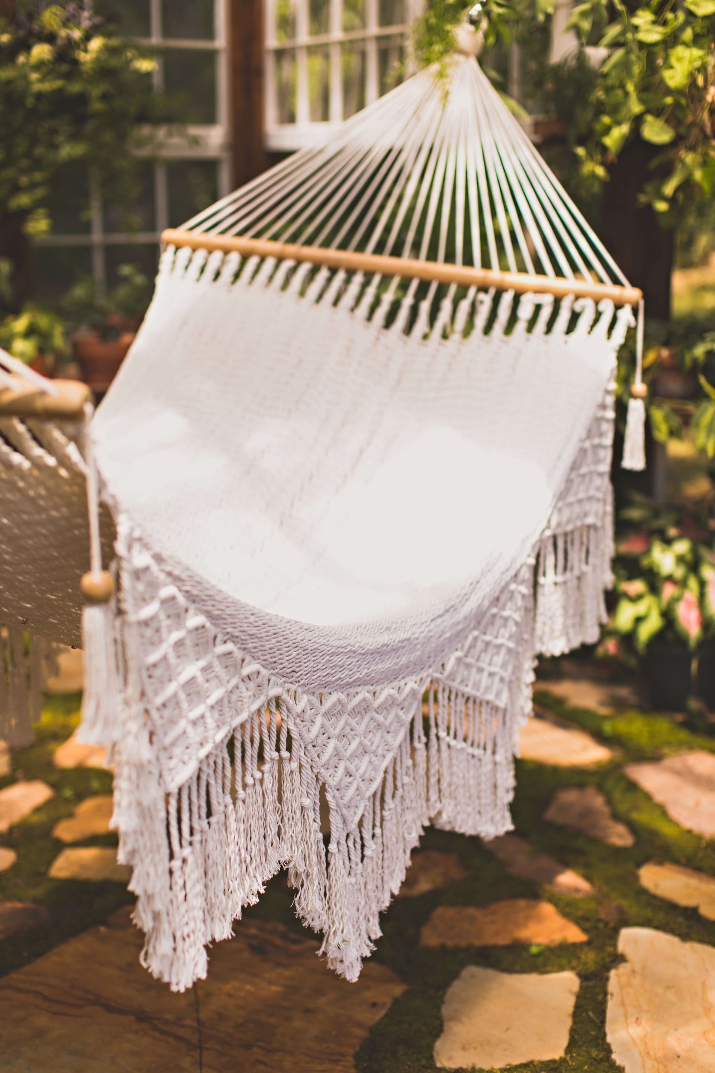 full size hammock and green plants