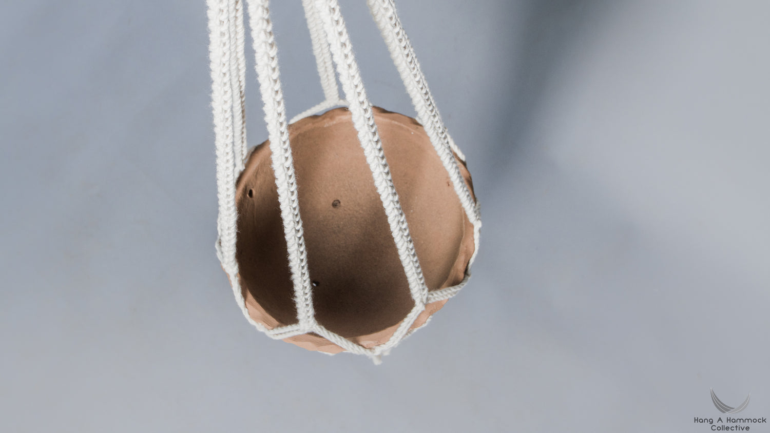 plant hangers