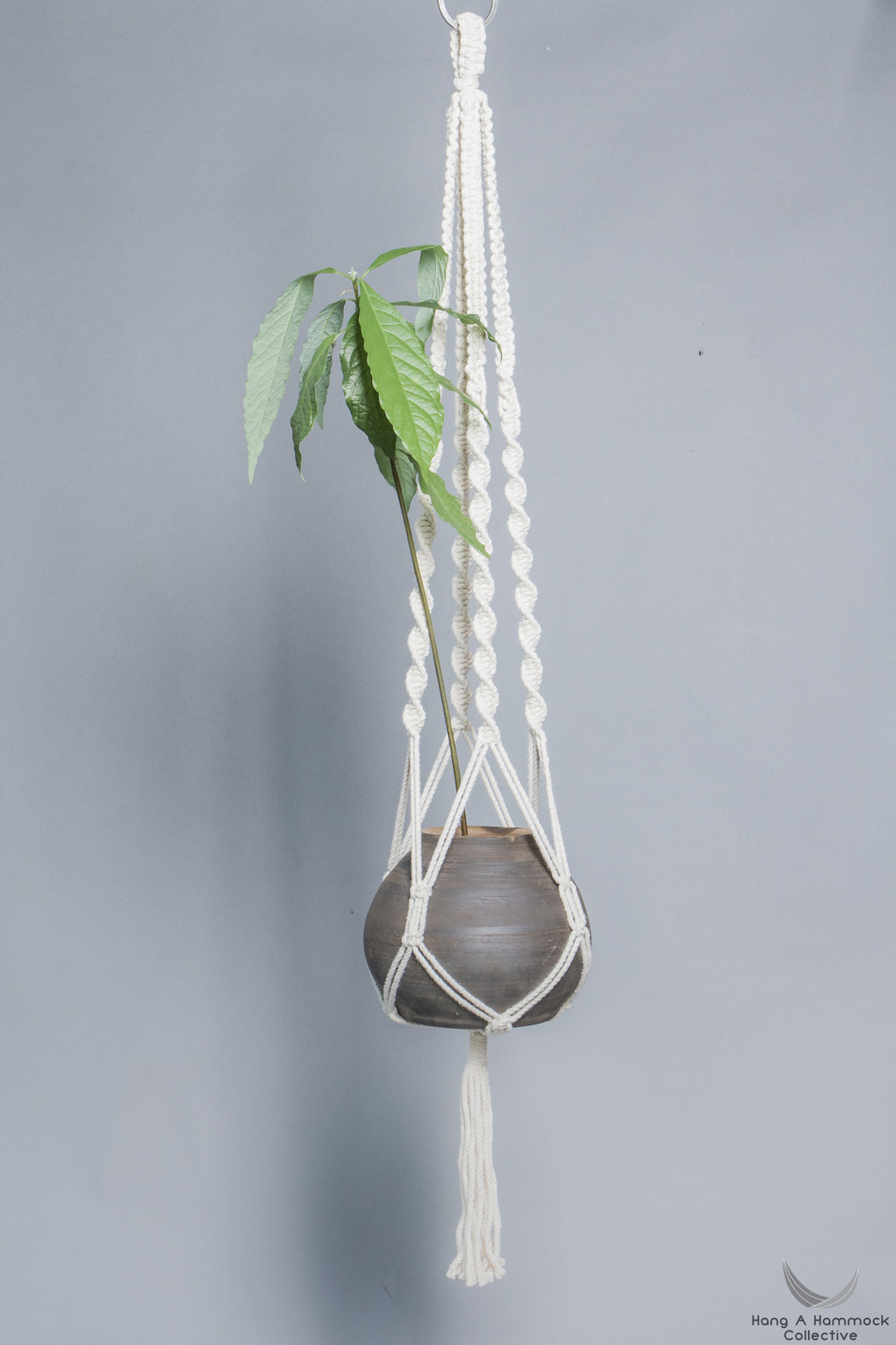 Plant hanger in Macrame holding a pot with a plant - Cream color- Model 01 - studio photo