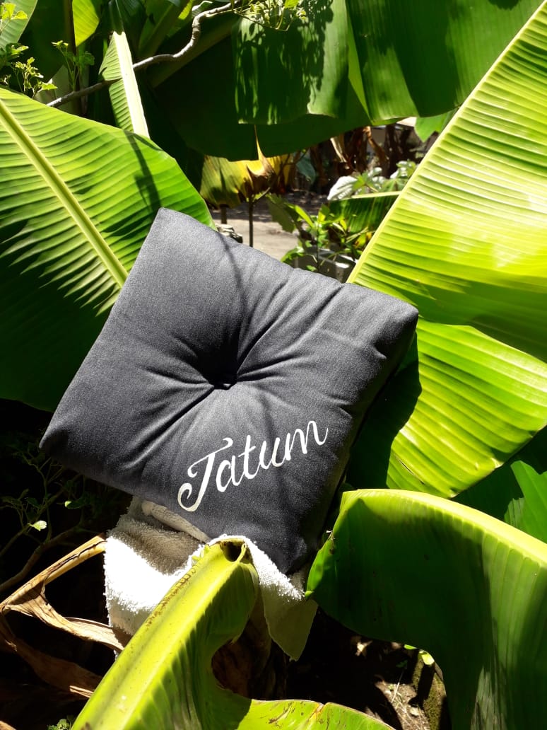 handmade cushion with a handpainted name (Tatum)