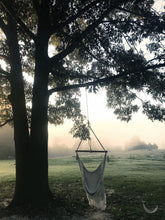 hammock chair hanging under a big tree during the morning